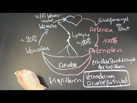 Pauli hilft - Ödeme: Entstehung