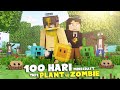 100 Days In Minecraft But Plants Vs Zombies Ft ItsSandwich