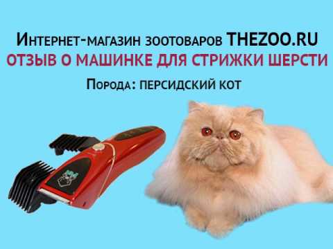 Отзыв: Игорь Анатольевич, машинка Codos CP-8000, персидские коты