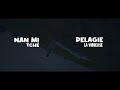 PELAGIE LA VIBREUSE NAN MI TCHÉ Official Vidéo