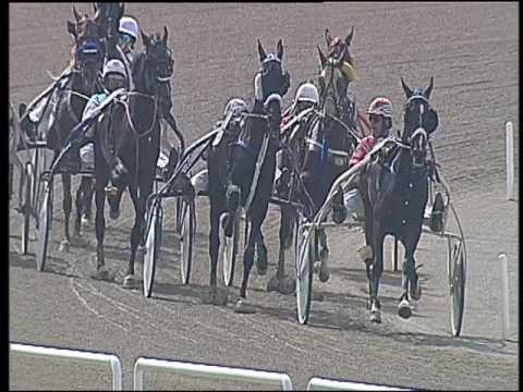 Trotto 29/05/2016 - 3° corsa