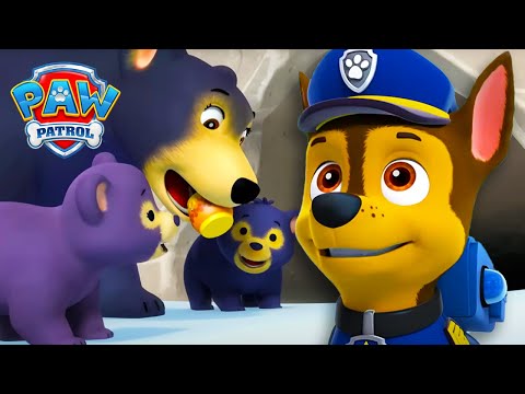 Psi Patrol - Sezon 1 - Odcinek 1 - Chase ratuje misia!