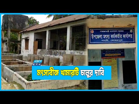 নজরদারির অভাবে সরকারি মৎস্য বীজ খামারে মাদক ও সন্ত্রাসের আখড়া