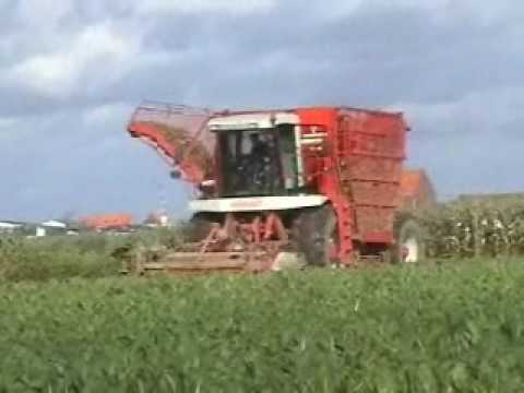 Watteyne: Bieten rooien.