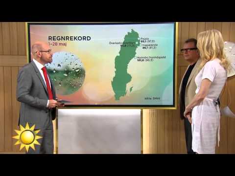 Dystert majväder - med nya bottenrekord - Nyhetsmorgon (TV4)