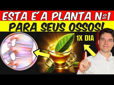 TAKE 1X EVERY NIGHT FOR STRONG BONES AND HEALTHY JOINTS | Takes away PAIN and Fights Osteoporosis