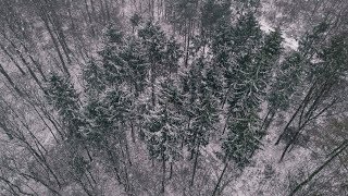 For You To Be Here - Tom Rosenthal | One Minute Covers