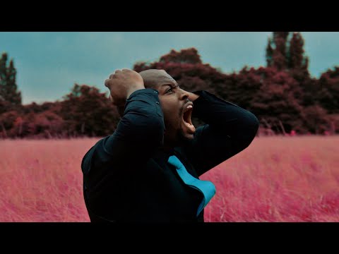 In Search Of Sun - The Fire I Play With (Official Music Video)