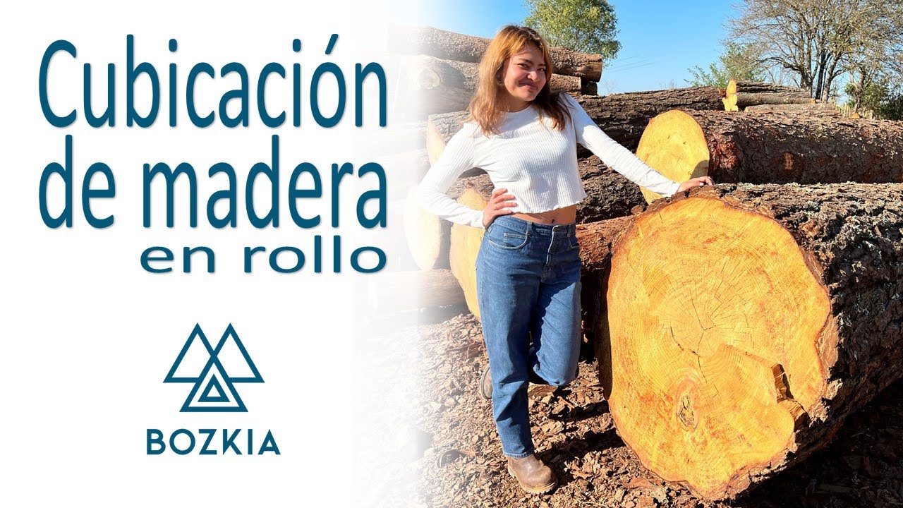 Cubicación de Madera en Rollo 🪵 🪵 🪵 | Bozkia 🌲🌲🌲