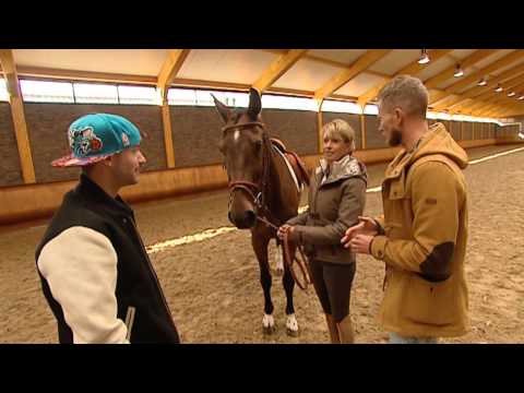 Proefkonijnen - Zebra temmen