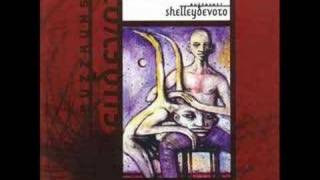 Can You See Me Shining? - ShelleyDevoto