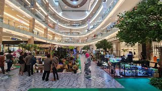 Pameran Tanaman Hias,Paludarium,Landscape "PAKUWON MALL JOGJA"