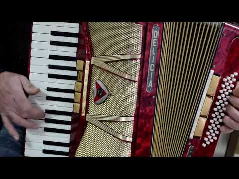 Rare Vintage Accordion Delicia Accord V 48 bass,8 registers (5+3)~Czech Republic - Video image 13