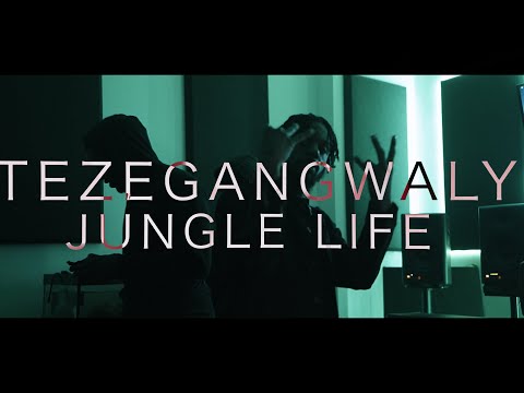 Teze Gang Waly - Jungle Life