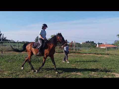 Il primo trotto a cavallo