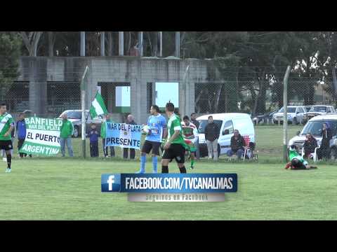 Resumen Banfield 1 - Circulo 0