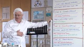 Dimağ 12 / Kuva - YOZGATNUR