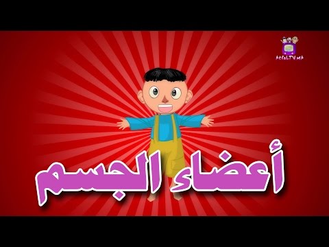 Human Body Parts In Arabic - Atfal TV | أعضاء الجسم باللغة العربية - أطفال تيفي