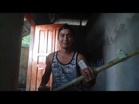 Hayop ka covid improvised guitar (nylon,kawayan,baby powder,alcohol)
