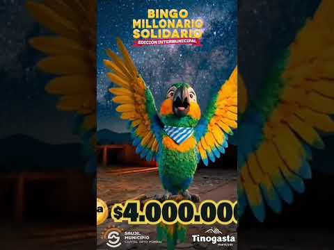 Tino   Bingo  #tinogasta #noticias #catamarca #saujil
