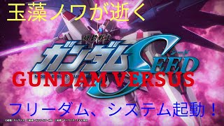 GUNDAM VERSUS フリーダム編