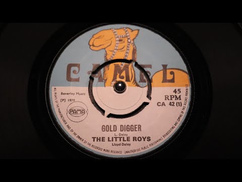 Little Roys - Gold Digger - Camel : ‎CA 42 manship mint (45s)