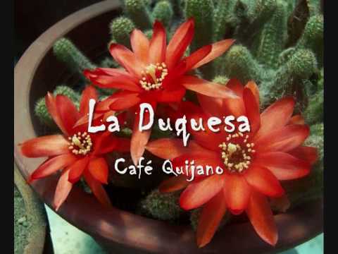 La Duquesa video