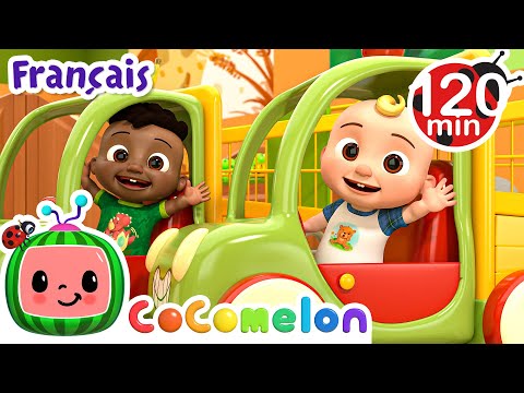 Le Caddie de Supermarché | CoComelon en Français | Chansons pour bébés