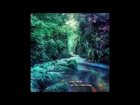 Ryan Herr & Momentology - Inner Fields