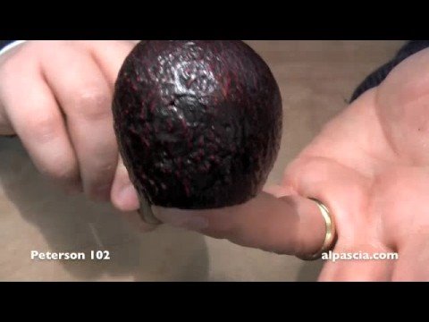 pipa Peterson 102 - smoking pipes