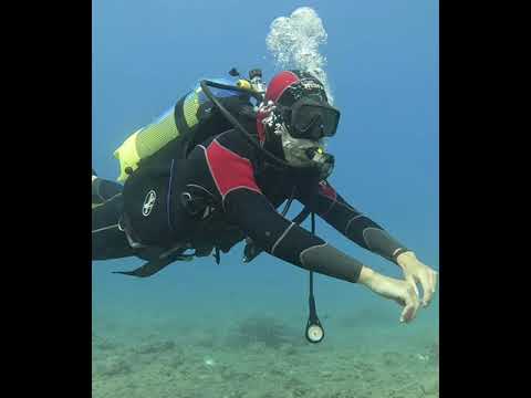 Dimensione H2O asd 26/08/2023 Alberto 🐬 e Federico 🐬 in Grotta Byron