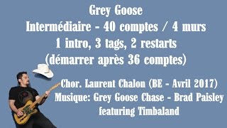 Grey Goose - Country Line Dance - Brad Paisley