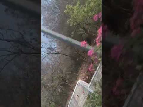 I love my sister& brother's ❤❤❤my big supporters ❤❤chinna dhanini ani nannu chala barincharu papam😜😜