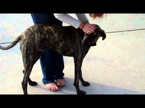 {$row[$i]['name'], ENT_QUOTES,'utf-8'); ?>