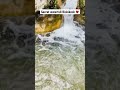 Secret waterfall | Rishikesh | Uttarakhand | Wanderlust | Explorer | View | weather | Waterfall vibe
