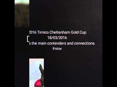 2016 Timico Cheltenham Gold Cup horses and connections slideshow