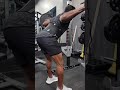 Goodmorning exercise, single leg Curls, Leg Press Wide and High exercise!! #legs #bodybuilding #fit