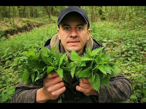 Olej arganowy włos istotne nektaru 100 ml prostującego Maska do włosów z miodem i papryką