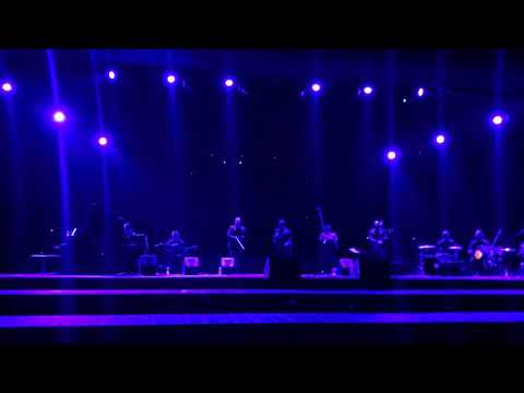 Božo Vrećo - Zapjevala sojka ptica - 15.12.2018. Beograd (live)