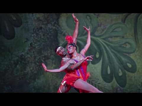 Southeast DC native steps into iconic role of 'Firebird' | NBC4 Washington
