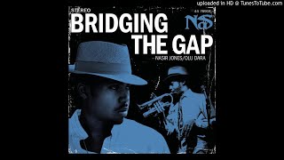 Nas - Bridging the Gap (Marley Marl Remix)