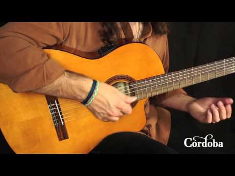 Cordoba C5-CET Limited - Spalted Maple Thin Body Nylon String Acoustic-Electric Classical Guitar image 6