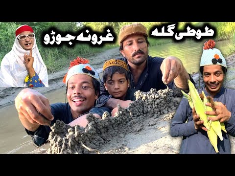 Tuti Gula Ghurona Joro Pashto New Funny Video 2023 by Tuti Gull Official