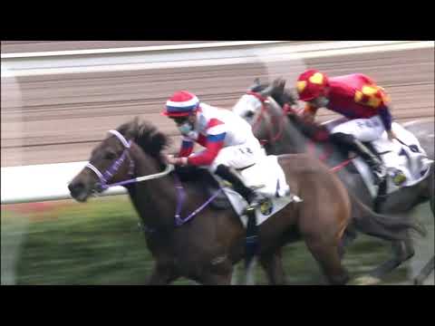 14/2/2021 (425) Decisive Twelve - Vincent Ho