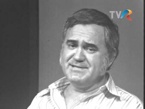 Dem Rădulescu - Jurnal de bloc