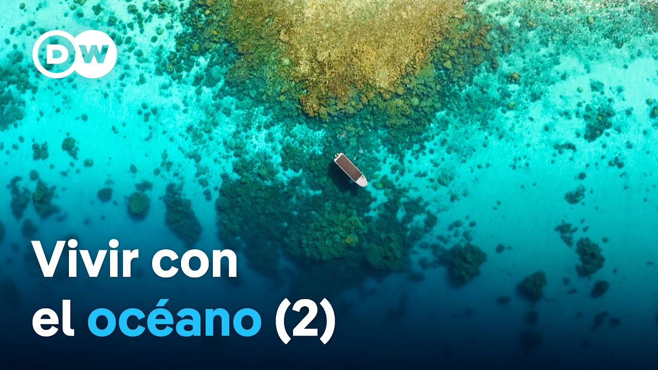 Islas del tesoro en el Pacífico - De las islas Chatham a Enewetak | DW Documental