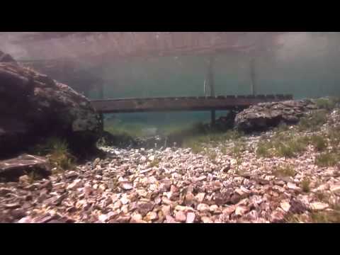 Grüblsee Tauchvideo, Grüblsee,Österreich