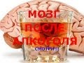 Мозг человека после употребления алкоголя.Смотри!!! 