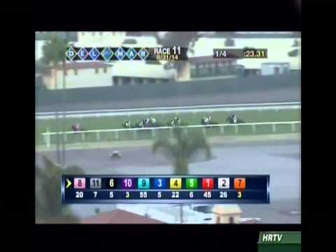 Halljoy MSW DMR11 Aug 31 2014 HRTV Visit us @ hnrhorseracing.com