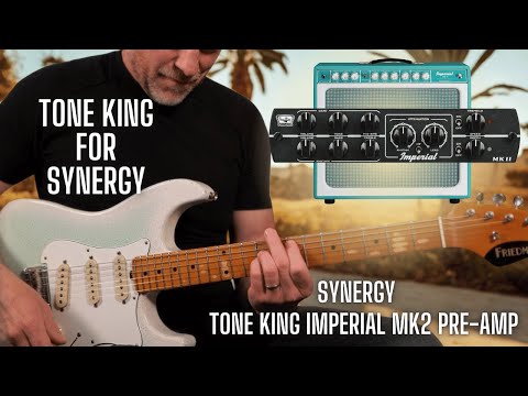 Synergy Modules | Tone King Imperial MKII image 2